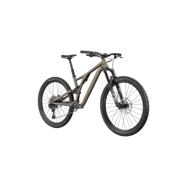 Stumpjumper Comp Alloy - Imagen 2
