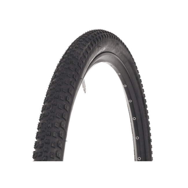RENEGADE 2BR TIRE 29X2.1